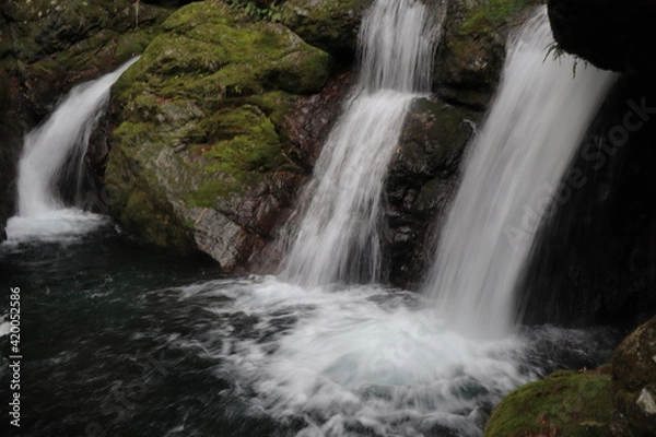 Fototapeta 太郎滝