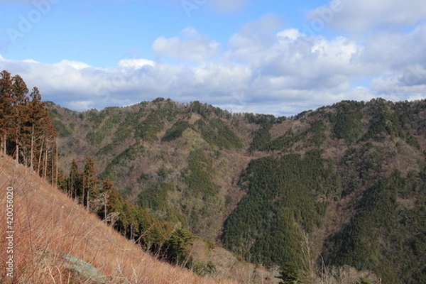 Fototapeta 奥安居渓谷