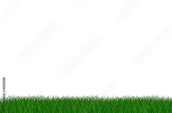 Fototapeta saftige grüne wiese