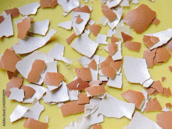 Obraz scattered eggshells on yellow background