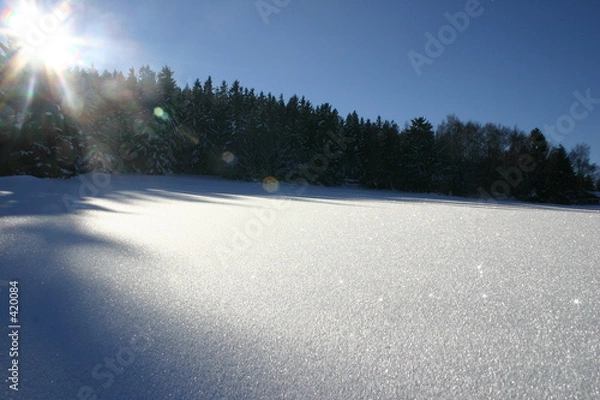 Obraz schneelandschaft
