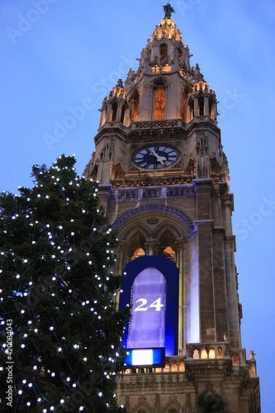 Fototapeta ウィーン