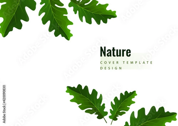 Obraz Creative green oak leaves on a light background. Template for your design. Vector