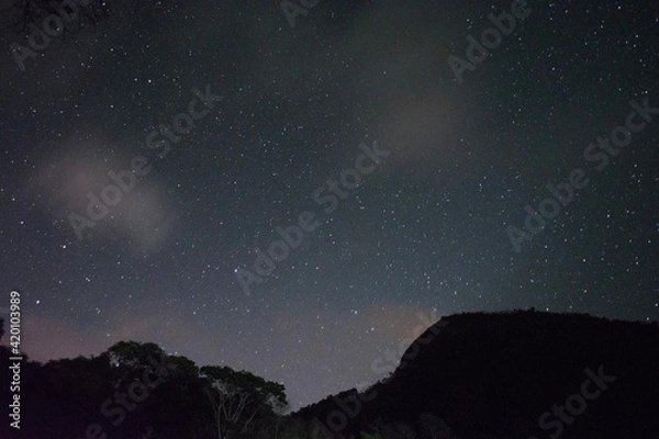 Obraz starry night sky