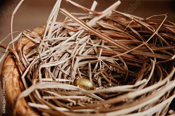Obraz Golden Easter Egg in Nest