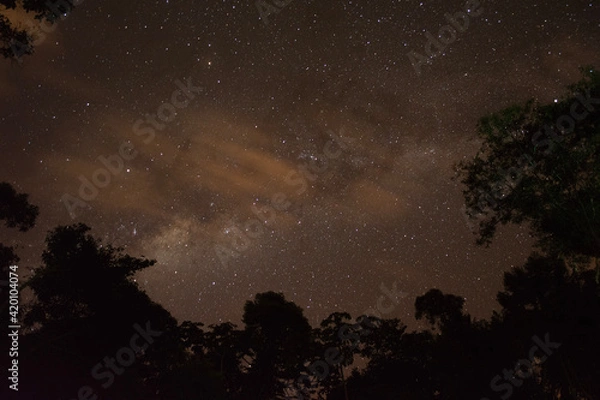 Obraz starry night sky