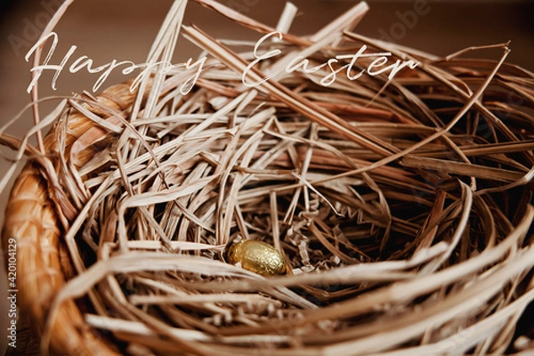 Obraz Golden Easter Egg in Nest