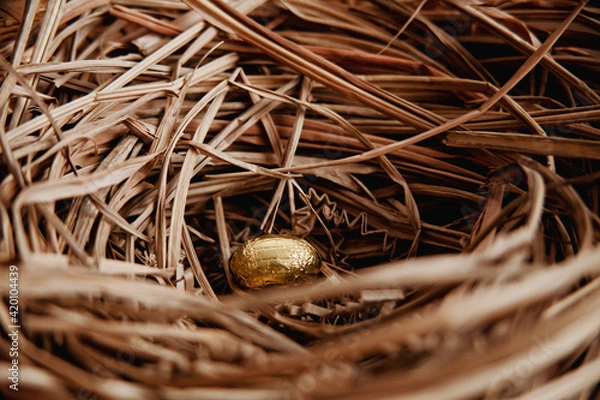 Obraz Golden Easter Egg in Nest