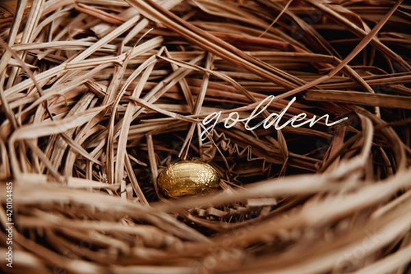 Obraz Golden Easter Egg in Nest