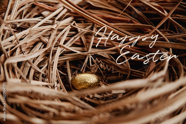 Obraz Golden Easter Egg in Nest