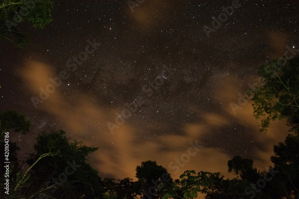 Obraz starry night sky