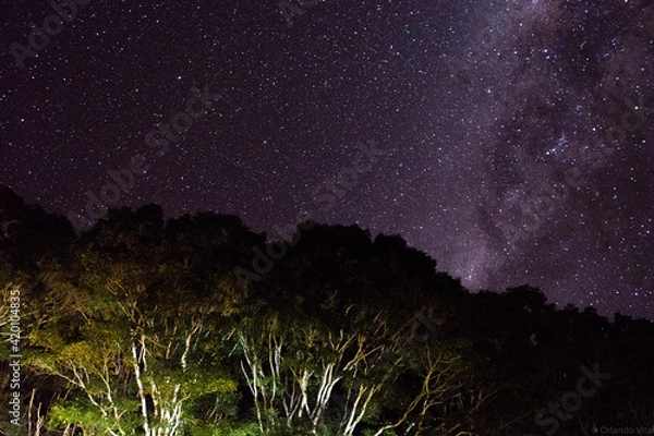 Obraz starry night sky