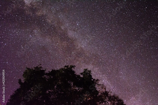 Obraz starry night sky