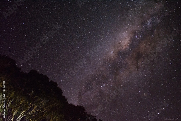 Obraz starry night sky