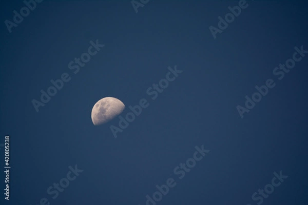 Obraz moon in the sky