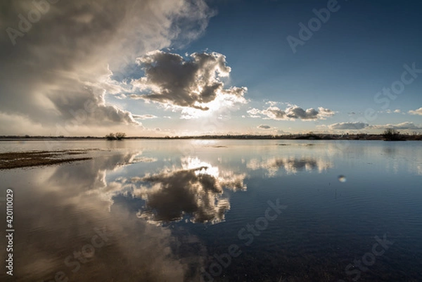 Obraz Backwaters of the Narew River