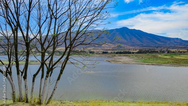 Obraz lake and mountains