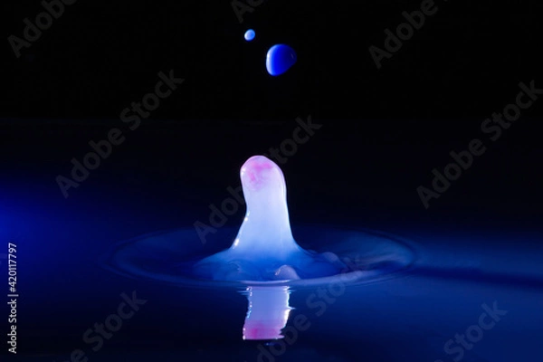Obraz Two collision effect of two falling water drops 