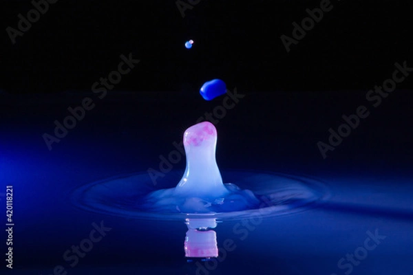 Obraz Two collision effect of two falling water drops 