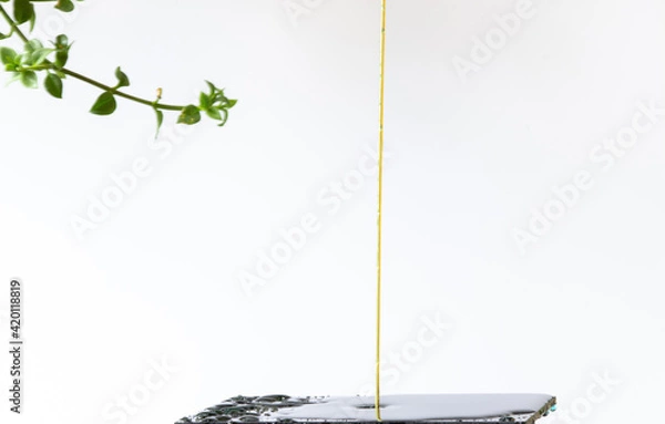 Obraz Two collision effect of two falling water drops 