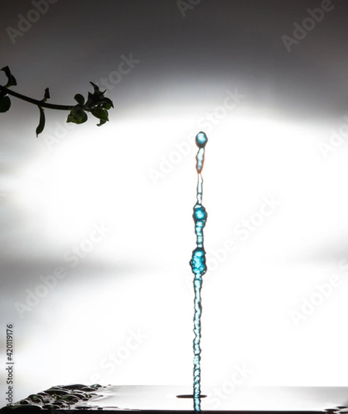 Fototapeta Two collision effect of two falling water drops 