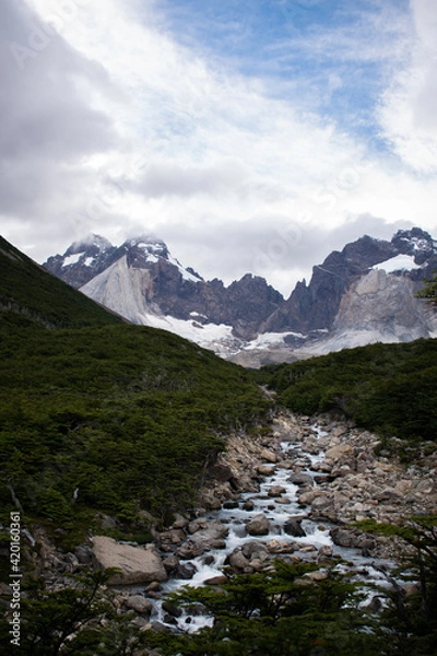 Fototapeta A beautiful valley in Torres del Paine National Park, with forest, a river and incredible mountains behind