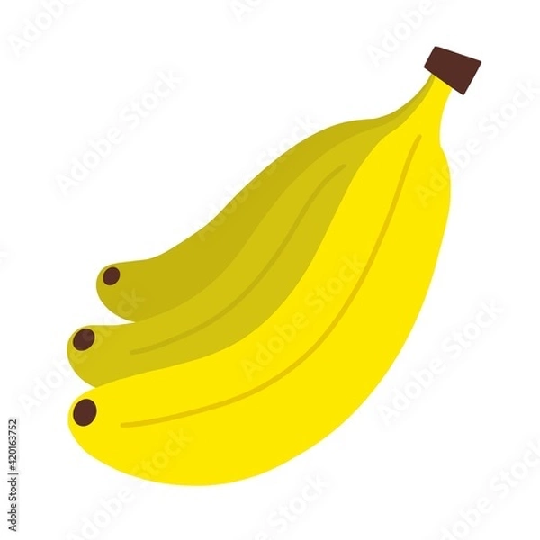 Obraz Bananas isolated on white background. Beautiful vector summer fruits. Cute icon in flat style