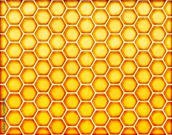 Fototapeta honeycomb