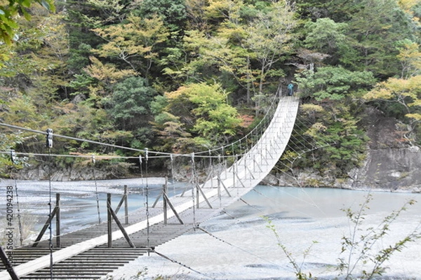 Fototapeta 静岡県、寸又橋の夢の吊り橋