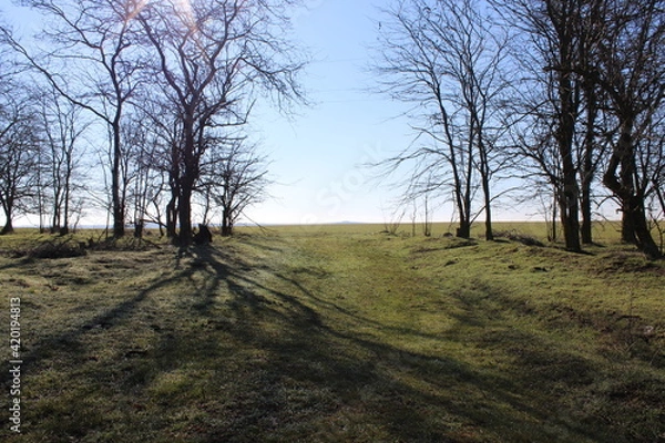 Obraz Spring morning