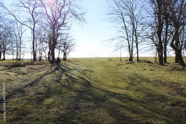 Fototapeta Spring morning 