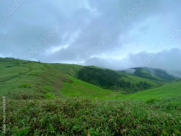 Obraz 山頂から見える景色