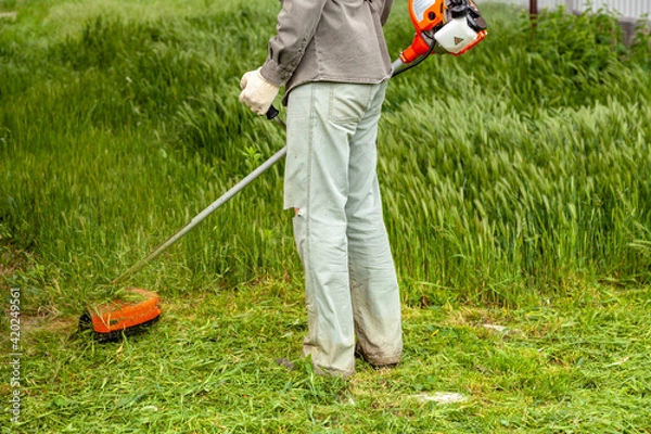 Fototapeta A man in work clothes mows tall grass with a trimmer in the garden