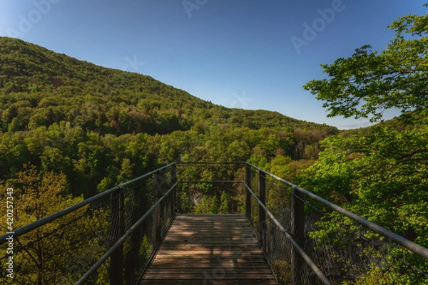 Fototapeta La passerelle, site des ponts de la Caille