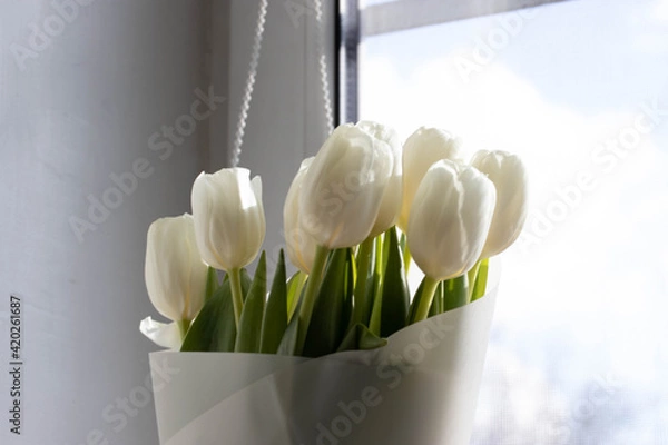 Obraz a bunch of white natural tulips