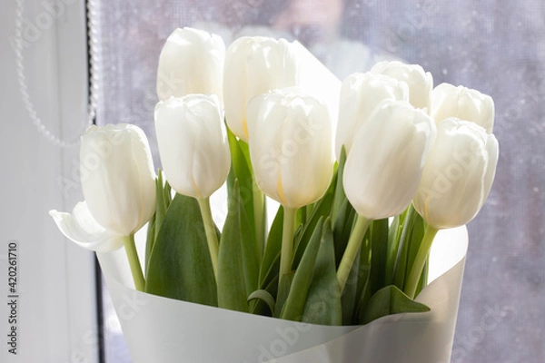 Obraz a bunch of white natural tulips