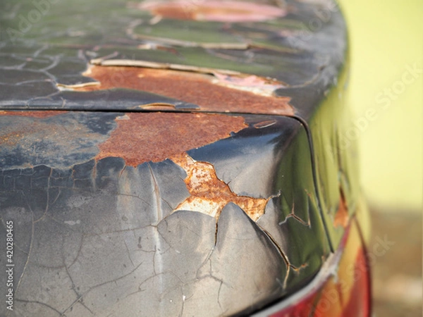 Obraz The trunk of the sedan has decayed paint.