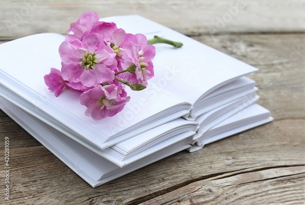 Obraz Pink gilliflower  on wooden table and the opened books