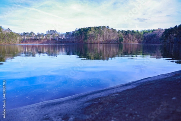 Obraz Lake With Trees In the Background