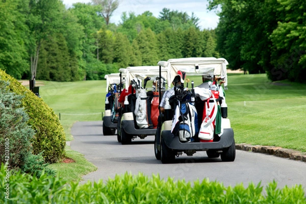 Obraz Wózki golfowe