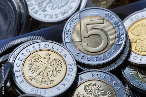 Fototapeta Money of Poland