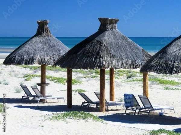 Obraz lounge chairs on the beach