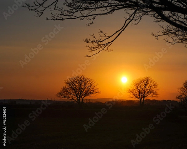 Obraz sunset in Cornwall