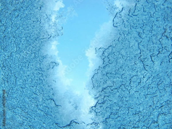 Fototapeta Looking Out From Beneath the Snow