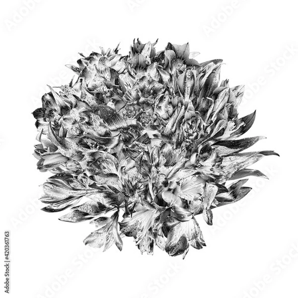 Fototapeta Silver flowers round bouquet white background isolated close up, beautiful black white flower bunch, shiny gray metal leaves, floral branch, decorative pattern, design element, vintage decoration