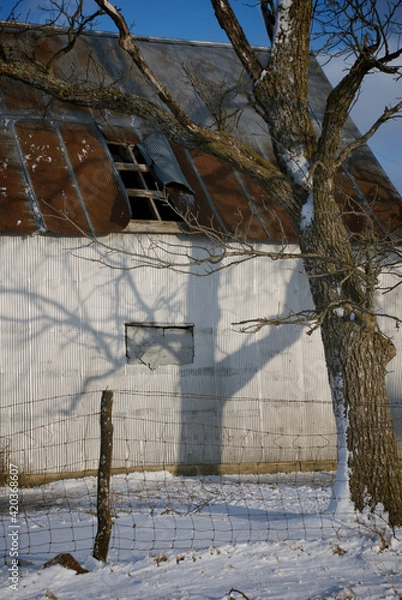 Fototapeta Winter Shadow 02. A dilapidated  corrugated metal farm buidling with an interesting shadow cast by the evening winter sun shining on a large snow covered tree. Near Loeffler, Missouri USA 2008.