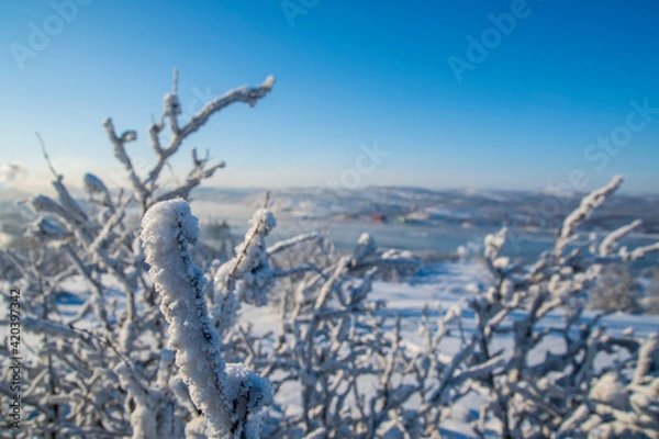 Obraz beautiful Nord 