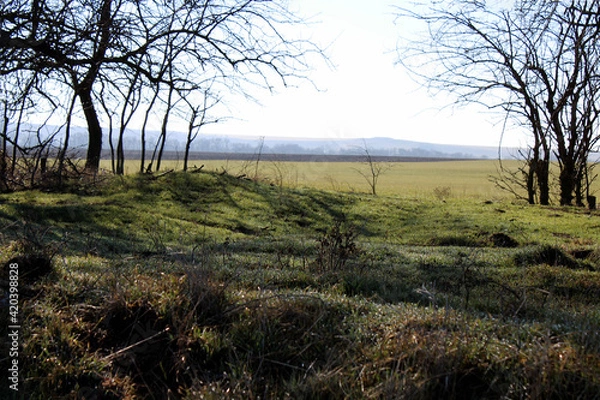 Obraz spring morning