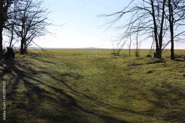 Obraz spring morning