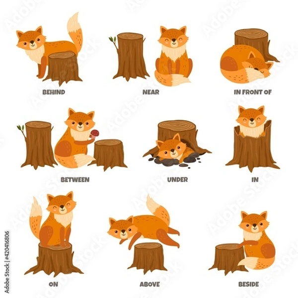 Fototapeta English prepositions. Cartoon animal, learn place preposition. Cute wild fox standing behind between or above. Children education exact vector poster